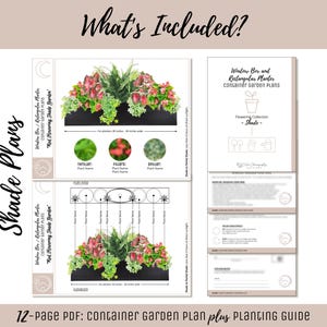 Easy Window Box Flower Garden Guide Beginner-Friendly Flower Plan How-To Garden Container Layout Flower Design Garden DIY Red Sun & Shade image 3
