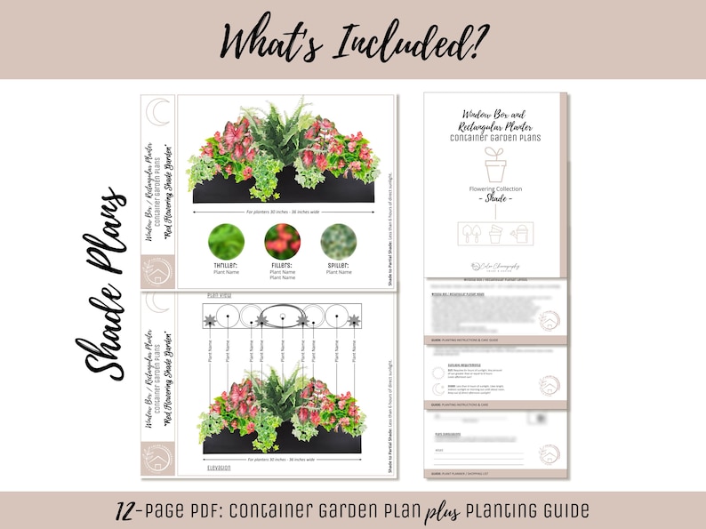 Easy Window Box Flower Garden Guide Beginner-Friendly Flower Plan How-To Garden Container Layout Flower Design Garden DIY Red Sun & Shade image 3