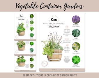 Eenvoudig eetbaar containertuinplan Groentekruidentuin Ontwerp voor beginners Gebruiksvriendelijke tuingids How-To moestuinindeling Thematuin voor kinderen