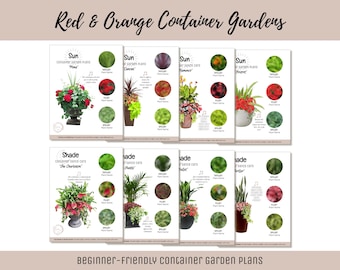 Easy Container Flower Garden Guide Beginner-Friendly Potted Flower Plan How-To Garden Container Layout Flower Design Garden DIY Red Bundle