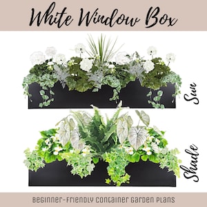 Easy Window Box Flower Garden Guide Beginner-Friendly Flower Plan How-To Garden Container Layout Flower Design Garden DIY White Sun & Shade