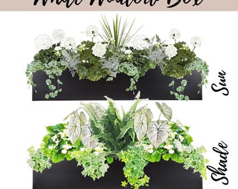 Easy Window Box Flower Garden Guide Beginner-Friendly Flower Plan How-To Garden Container Layout Flower Design Garden DIY White Sun & Shade