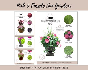 Easy Container Flower Garden Guide Beginner-Friendly Potted Flower Plan How-To Garden Container Layout Flower Design Garden DIY Pink Sun