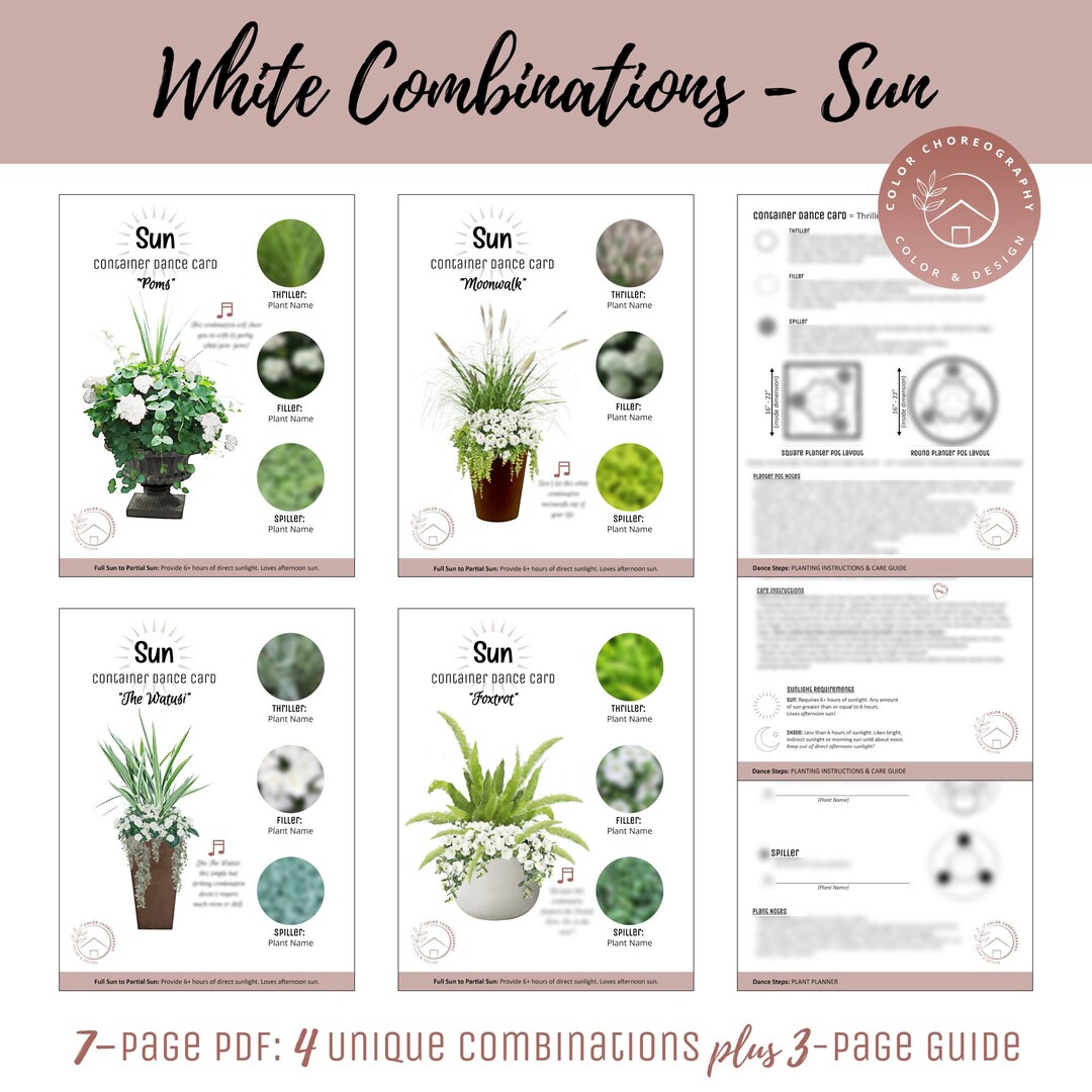 Container Garden Plan Beginner's Guide to Container - Etsy