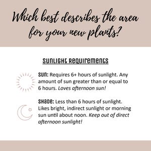 May include: An informational graphic with the text Which best describes the area for your new plants? and SUNLIGHT REQUIREMENTS. It defines Sun as 6+ hours of sunlight and Shade as less than 6 hours, featuring a sun icon and a crescent moon icon.