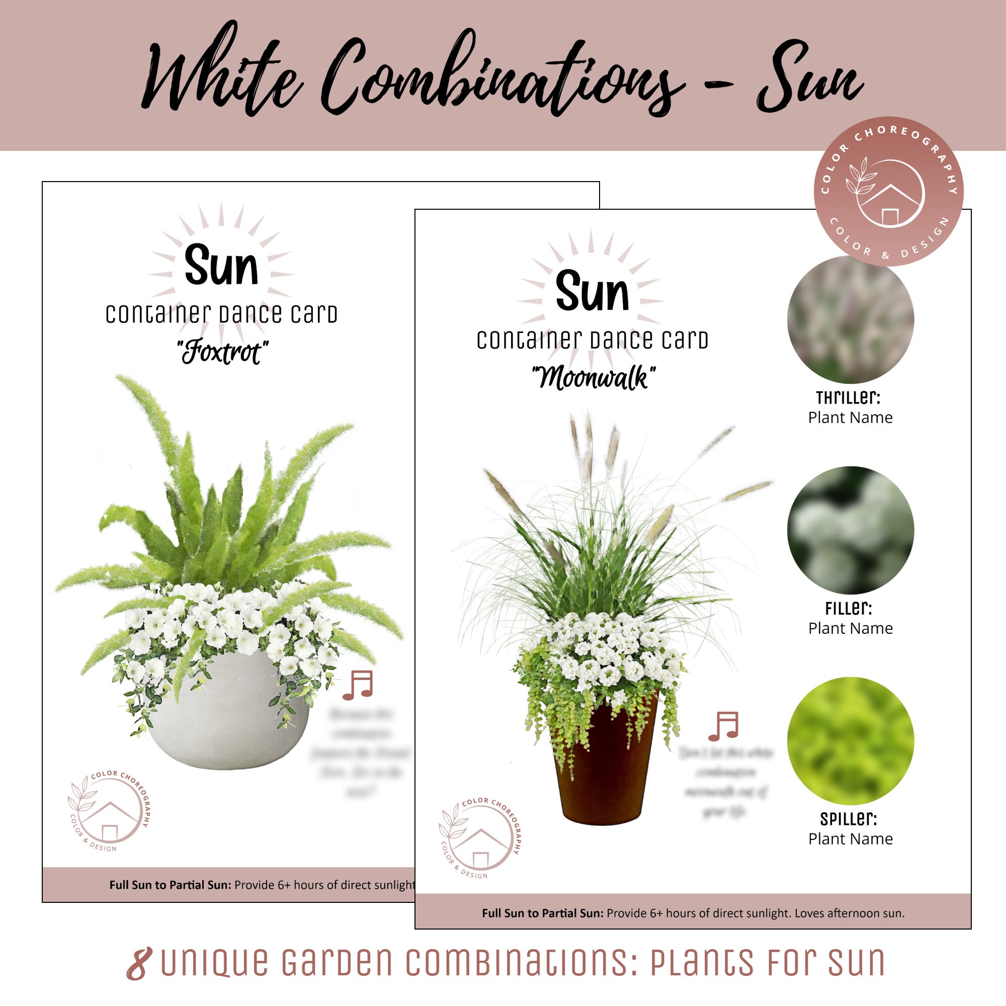 Container Garden Plan Flower Garden Design Plan Beginner Etsy