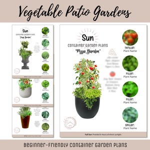 Small Space Container Garden Plan Vegetable Herb Garden Design Beginner-Friendly Urban Garden Guide How-To Patio Garden Layout Theme Garden