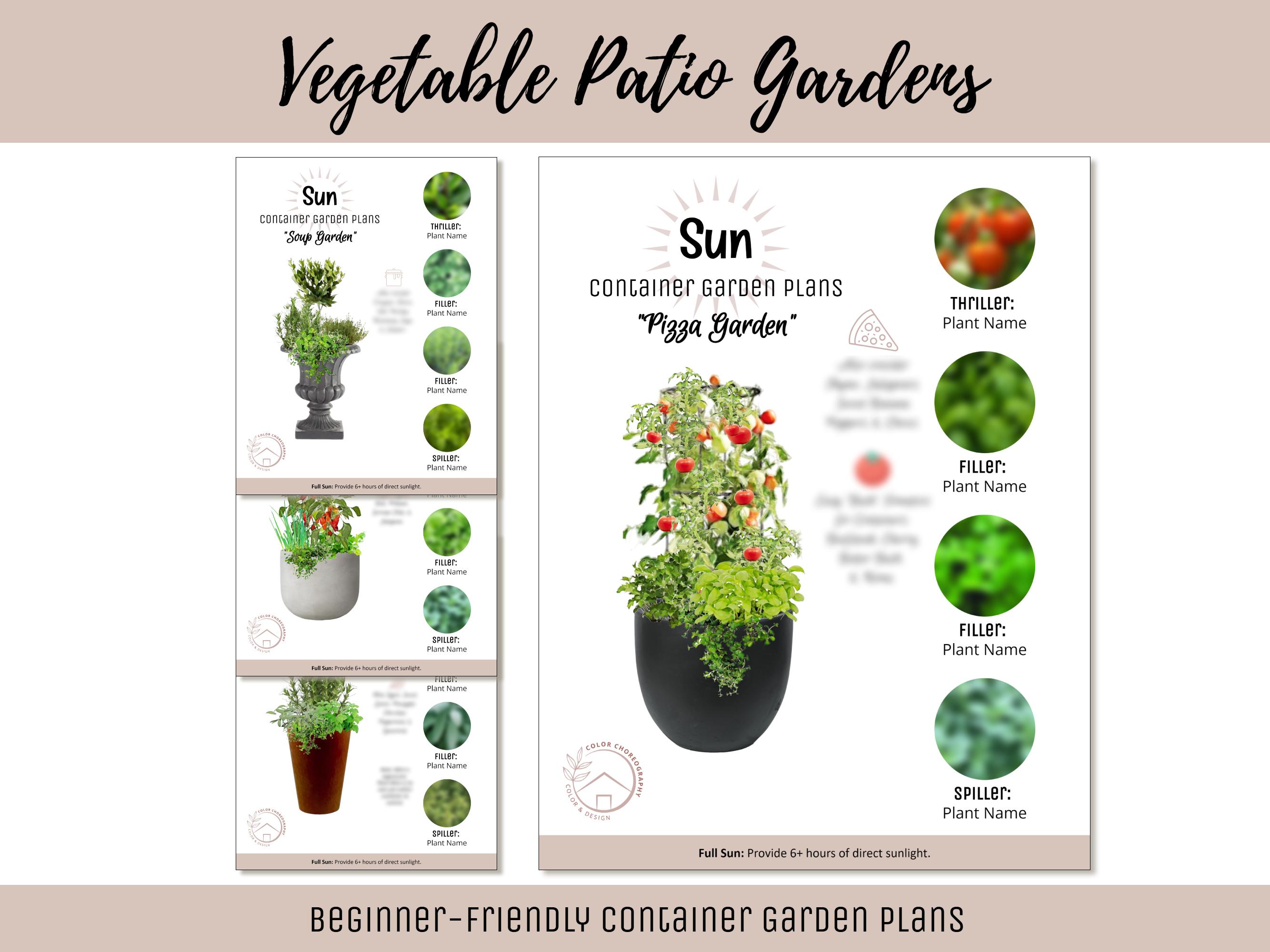 Small Space Container Garden Plan Vegetable Herb Garden Design Beginner ...