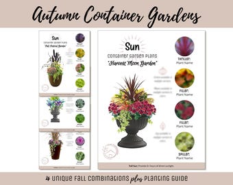 Autumn Sun Easy Container Flower Garden Guide Beginner-Friendly Potted Flower Plan How-To Garden Container Layout Flower Design Garden DIY