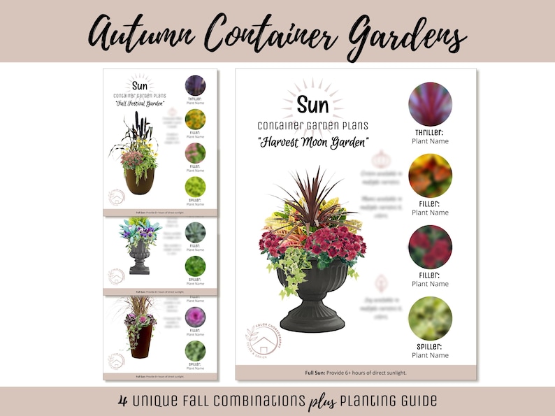 May include: A guide for autumn container gardens. The image features four unique fall combinations with planting guides. The guide includes container garden plans with plant names, and the text "Autumn Container Gardens".