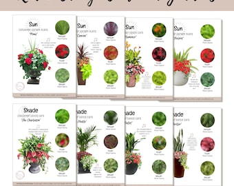 Red Orange Sun Easy Container Flower Garden Guide Beginner-Friendly Potted Flower Plan How-To Garden Container Layout Design DIY Bundle
