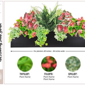 May include: A black rectangular planter with a red flowering plant, a green leafy plant, and a green ivy plant. The planter is 30 to 36 inches wide. "Red Flowering Shade Garden" is written on the image.