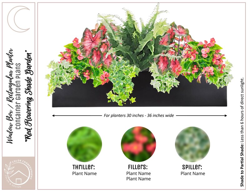 May include: A black rectangular planter with a red flowering plant, a green leafy plant, and a green ivy plant. The planter is 30 to 36 inches wide. "Red Flowering Shade Garden" is written on the image.