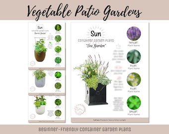 Kleine ruimtecontainer Tuinplan Groentekruidentuin Beginnersvriendelijke stadstuinhandleiding How-To Patiotuinindeling Thematuin