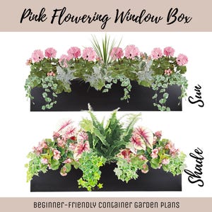 Puede incluir: Dos jardineras negras llenas de plantas y flores. La caja superior presenta flores rosas y el texto "Sun". La caja inferior tiene una variedad de plantas verdes y rosas y el texto "Shade". El texto "Pink Flowering Window Box" está en la parte superior.
