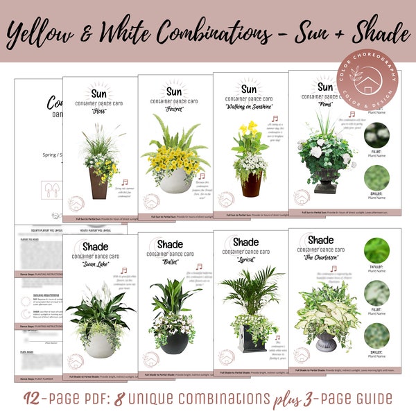 Container Garden Plan, Beginner Guide to Container Gardening, How-To Garden Design Plan, DIY Potted Garden Planter, Yellow Sun & Shade Plant