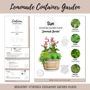Easy Edible Container Garden Plan Vegetable Herb Garden Design Beginner-Friendly Garden Guide How-To Kitchen Garden Layout Kids Theme Garden