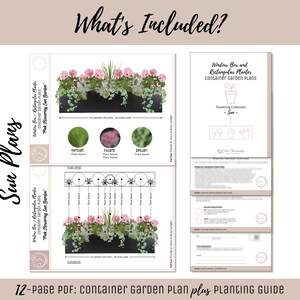 Easy Window Box Flower Garden Guide Beginner-Friendly Flower Plan How-To Garden Container Layout Flower Design Garden DIY Pink Sun & Shade image 2