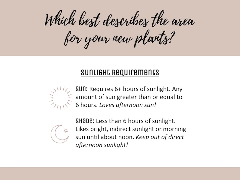 May include: A graphic showing the sunlight requirements for plants. The graphic shows a sun icon and the text "Sun: Requires 6+ hours of sunlight. Any amount of sun greater than or equal to 6 hours. Loves afternoon sun!" and a moon icon and the text "Shade: Less than 6 hours of sunlight. Likes bright, indirect sunlight or morning sun until about noon. Keep out of direct afternoon sunlight!"