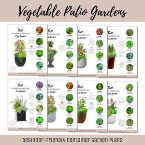 Small Space Container Garden Plan Vegetable Herb Garden Design Beginner-Friendly Urban Garden Guide How-To Patio Garden Layout Theme Garden