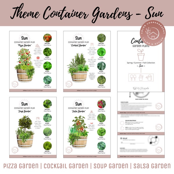 Container Garden Plan, Vegetable Herb Garden Design Plan, Beginner Gardening, How-To Kitchen Garden, Companion Plants, Themed Pizza Garden