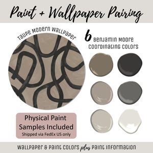 Paint Wallpaper Pairing Interior Home Paint Color Scheme Benjamin Moore Paint Selection Room Design Color Consult Modern Wallpaper Taupe