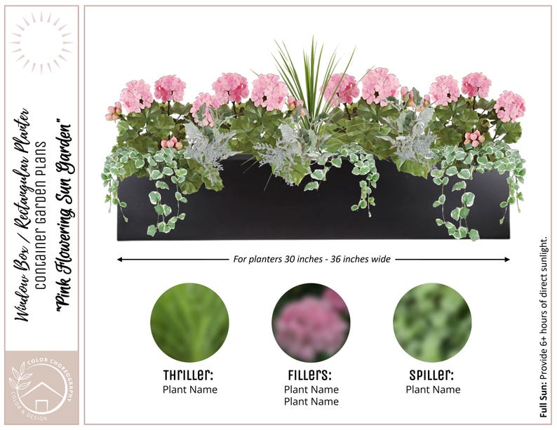 May include: A rectangular black window box planter containing pink geraniums, spiky green foliage, and trailing variegated ivy. Text reads: Window Box / Rectangular Planter, Pink Flowering Sun Garden, For planters 30 inches - 36 inches wide.