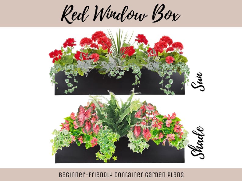 Easy Window Box Flower Garden Guide Beginner-Friendly Flower Plan How-To Garden Container Layout Flower Design Garden DIY Red Sun & Shade image 1