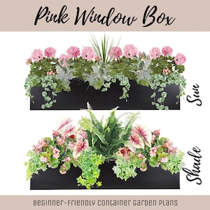 Puede incluir: Dos jardineras rectangulares negras llenas de plantas. La jardinera superior presenta flores rosas y vegetación colgante etiquetada como Sun. La inferior contiene hojas variegadas rosas y verdes y helechos etiquetados como Shade. Texto: Pink Window Box.