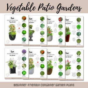 Könnte beinhalten: Eine Sammlung von Informationskarten mit den Titeln "Vegetable Patio Gardens" und "Beginner-Friendly Container Garden Plans". Jede Karte zeigt Pflanzenillustrationen, Sonnensymbole und Pflanzennamen. Die Karten sind auf einem hellbeige Hintergrund angeordnet.