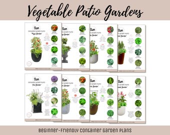 Kleine ruimtecontainer Tuinplan Groentekruidentuin Beginnersvriendelijke stadstuinhandleiding How-To Patiotuinindeling Thematuin