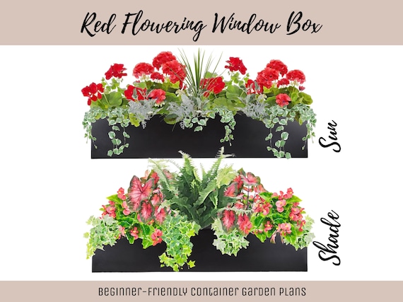 Easy Window Box Flower Garden Guide Beginner-Friendly Flower Plan How-To Garden Container Layout Flower Design Garden DIY Red Sun & Shade
