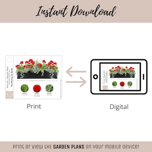 Easy Window Box Flower Garden Guide Beginner-Friendly Flower Plan How-To Garden Container Layout Flower Design Garden DIY Red Sun & Shade image 13