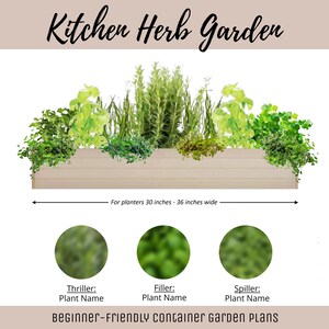 Easy Window Box Vegetable Garden Guide Beginner-Friendly Herb Planter Plan How-To Herb Garden Container Layout Vegetable Garden DIY Design image 1