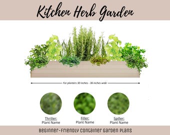 Easy Window Box Vegetable Garden Guide Beginner-Friendly Herb Planter Plan How-To Herb Garden Container Layout Vegetable Garden DIY Design