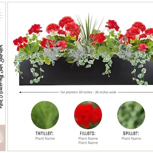May include: A black window box planter filled with red geraniums, green foliage, and a silvery-green trailing plant. The planter is 30 to 36 inches wide and is labeled "Red Flowering Sun Garden".