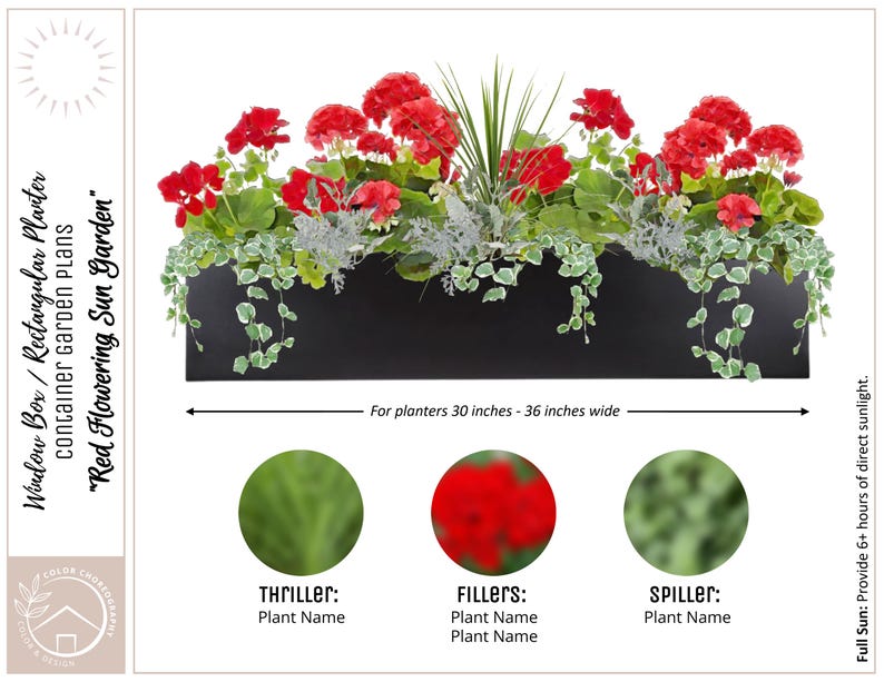 May include: A black window box planter filled with red geraniums, green foliage, and a silvery-green trailing plant. The planter is 30 to 36 inches wide and is labeled "Red Flowering Sun Garden".