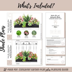 May include: A 12-page PDF container garden plan and planting guide featuring window box and rectangular planter designs. The document includes illustrations of plants, layout diagrams, and text labels for planters 30 inches to 36 inches wide.
