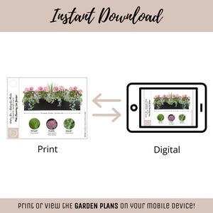 Easy Window Box Flower Garden Guide Beginner-Friendly Flower Plan How-To Garden Container Layout Flower Design Garden DIY Pink Sun & Shade image 13
