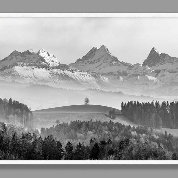 Mountain Print, Black and White, Mountain Wall Decor, Mountain Landscape, Nature Photo, Forest, Tree, Hills, Swiss Alps, Printable Wall Art