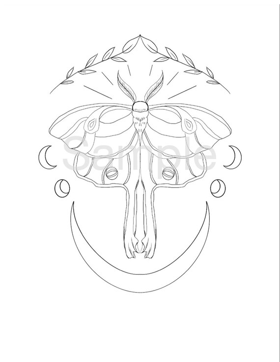 Luna Moth Coloring Page | Etsy
