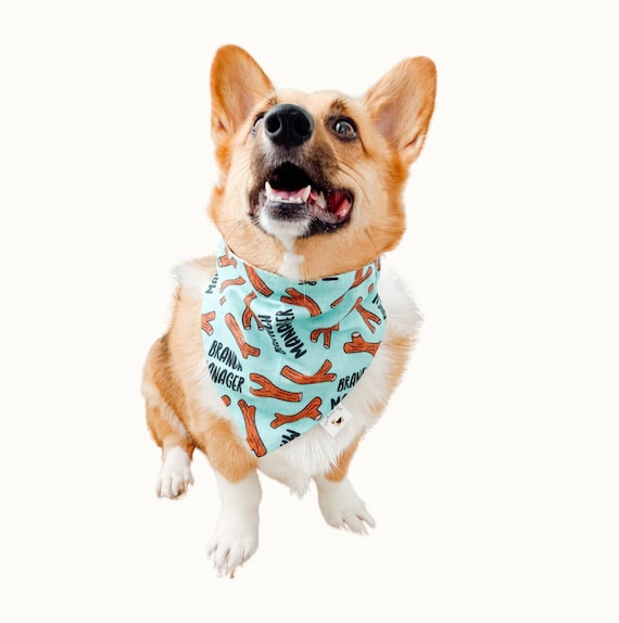Office Fan Club Reversible Dog Bandana the Office TV Show Dunder
