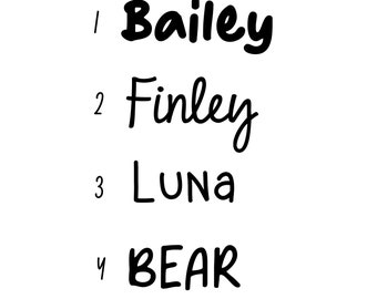 Custom Name Add On | Heat Transfer | Vinyl Iron On Names | VenturePupShop