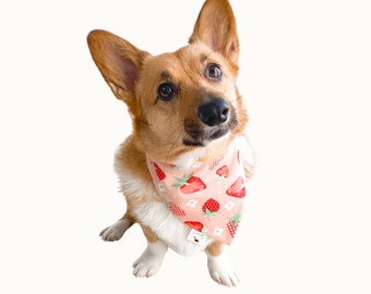 Strawberry Plaid Dog Bandana, Snap-On Cotton
