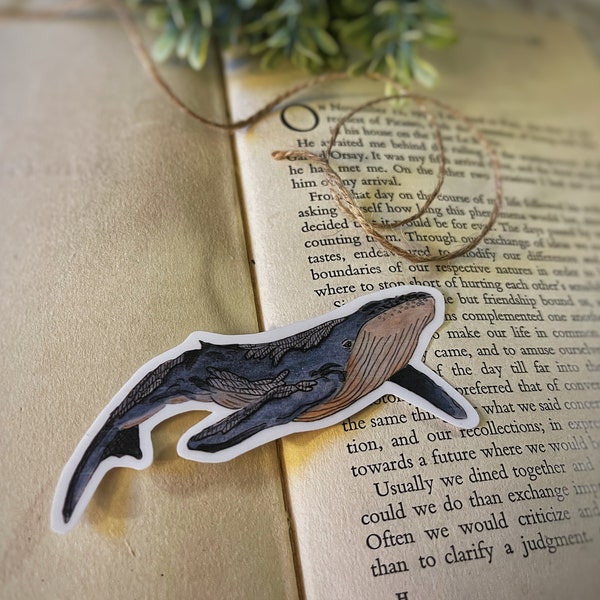 Watercolor Humpback Whale Sticker, Ocean sticker, whale sticker, laptop decal, water bottle sticker, Hawaii sticker