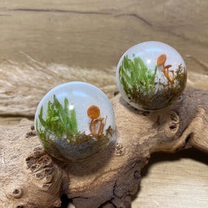 May include: Two clear, spherical resin objects, each containing miniature mushrooms and green moss. The mushrooms are orange and brown, and the moss is a vibrant green. The spheres are resting on a piece of driftwood.