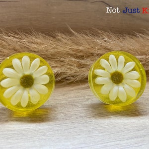 May include: Two yellow resin cabinet knobs featuring a white daisy flower design. The knobs are round and have a glossy finish. "Not Just Knobs" is written in the background.