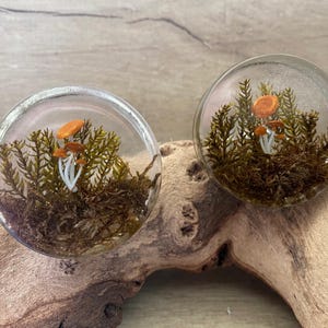 May include: Two clear glass orbs, each with a miniature forest scene. Small orange and white mushrooms are set amongst green and brown foliage. The orbs are displayed on a piece of driftwood.