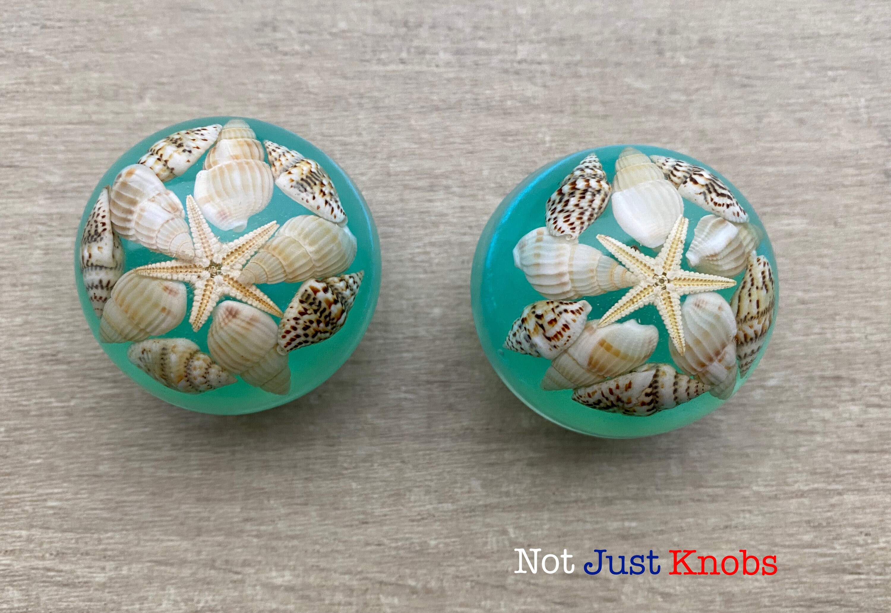 Drawer Knobs Pair Seashell Design Finishing Touch for Ocean Style