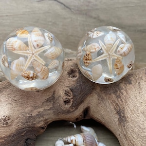 May include: Two clear, spherical resin objects, each containing a starfish and various seashells. The shells are beige, brown, and white, set against a clear background. The objects rest on a piece of driftwood.